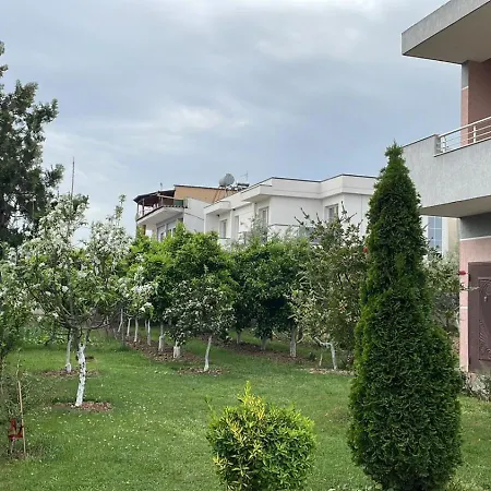 Lusha Holiday home